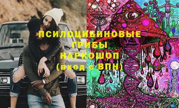 apvp Балахна