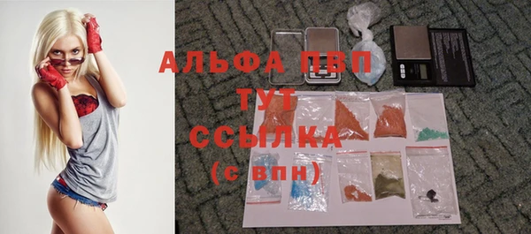 ПСИЛОЦИБИНОВЫЕ ГРИБЫ Балабаново
